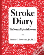 Capa do artigo Stroke Diary