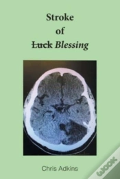 Capa do artigo Stroke Of Blessing