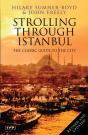 Strolling Through Istanbul - Preview