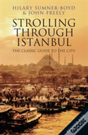 Capa do artigo Strolling Through Istanbul