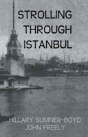 Strolling Through Istanbul - Preview