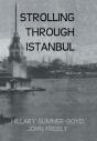 Strolling Through Istanbul - Preview