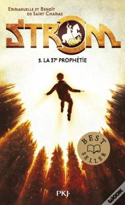 Capa do artigo Strom Tome 3 : La 37e Prophétie