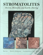 Stromatolites