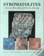 Capa do artigo Stromatolites