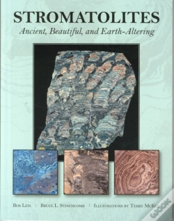 Capa do artigo Stromatolites