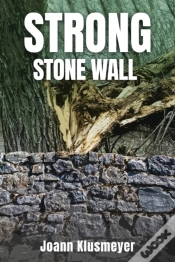 Capa do artigo Strong Stone Walls