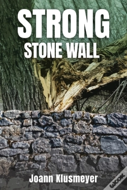 Capa do artigo Strong Stone Walls