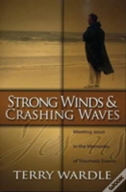 Capa do artigo Strong Winds & Crashing Waves