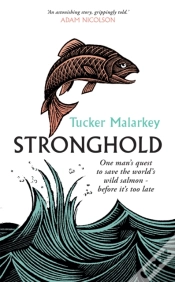 Capa do artigo Stronghold