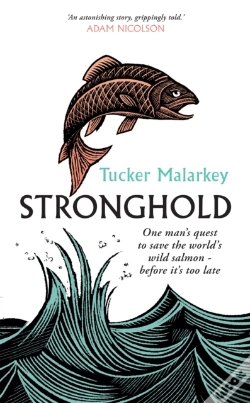 Capa do artigo Stronghold