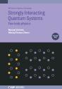 Strongly Interacting Quantum Systems, Volume 1 - Preview