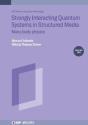 Strongly Interacting Quantum Systems, Volume 2 - Preview