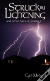 Capa do artigo Struck By Lightning And Other Bolts Of Reality