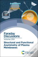 Structural And Functional Asymmetry Of Plasma Membranes