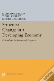 Capa do artigo Structural Change In A Developing Economy