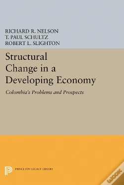 Capa do artigo Structural Change In A Developing Economy