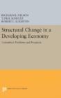 Structural Change In A Developing Economy - Preview