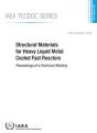 Structural Materials For Heavy Liquid Metal Cooled Fast Reactors - Preview