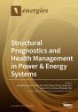 Structural Prognostics And Health Manage - Preview