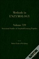 Structural Studies Of Amyloid-Forming Peptides