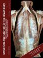 Structure And Function Of The Human Body For The Massage Therapist - Preview