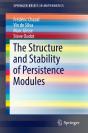 Structure And Stability Of Persistence Modules - Preview