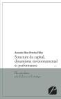 Structure Du Capital, Dynamisme Environnemental Et Performance - Preview