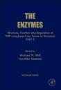 Structure, Function And Regulation Of Tor Complexes From Yeasts To Mammals - Preview
