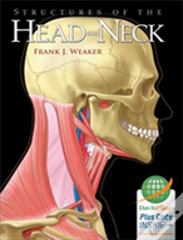 Structures Of The Head And Neck