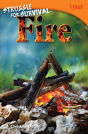 Struggle For Survival: Fire - Preview