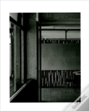 Capa do artigo Stuart Whipps