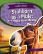 Stubborn As A Mule - Preview