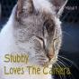 Stubby Loves The Camera - Preview