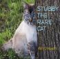 Stubby The Rare Cat - Preview
