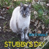 Stubby'S Day