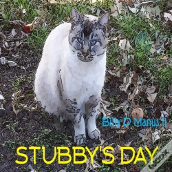 Capa do artigo Stubby'S Day