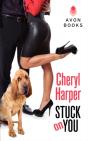 Stuck On You - Preview