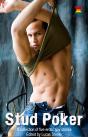 Stud Poker - Preview