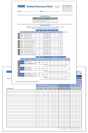 Student Record And Class Summary Sheets - Preview