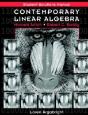 Student Solutions Manual To Accompany Contemporary Linear Algebra - Preview