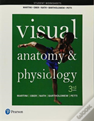 Student Worksheets For Visual Anatomy & Physiology
