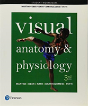 Student Worksheets For Visual Anatomy & Physiology - Preview