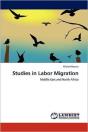 Studies In Labor Migration - Preview