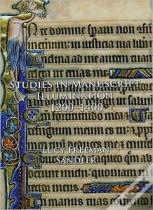 Studies In Manuscript Illumination, 1200-1400