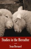 Studies In The Hereafter