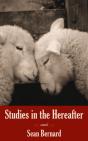 Studies In The Hereafter - Preview
