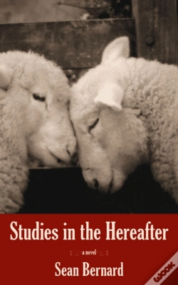 Capa do artigo Studies In The Hereafter