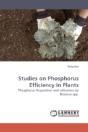 Studies On Phosphorus Efficiency In Plan - Preview