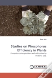 Studies On Phosphorus Efficiency In Plan